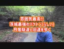 【廃道】バケトン扱いされる明治生まれの古隧道～月居隧道(茨城県久慈郡大子町)