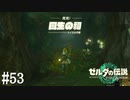 【ゼルダの伝説 Tears of the Kingdom】帰ってきたな【実況】#53