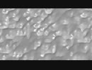 Liqoil Metal Noise.ffx