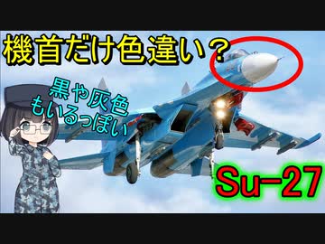 【兵器解説】なぜ戦闘機って機首だけ白かったりするの？