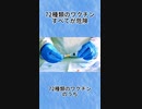 72種類のワクチン、すべてが危険