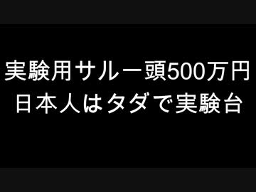 実験用サル一頭500万円　日本人はタダで実験台
