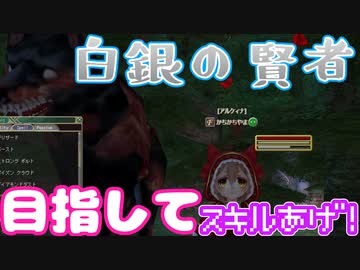 【MasterofEpic】白銀の賢者目指す！【声実況】