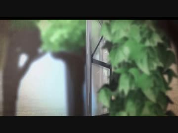 開けてみると