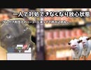 業なんたらスーパーのレジバイトしてた頃の陰キャ社不俺