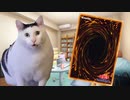 【遊戯王】クソデッカーの日常【猫ミーム】