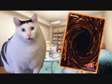 【遊戯王】クソデッカーの日常【猫ミーム】