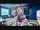 【ドルフロ】ドールズフロントライン 慢性虚脱-SLOW SHOCK-『SUM 第9組第1番白鳥』 【G＆K】