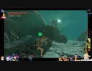 ⌘プレイアーカイブ⌘ ハイラルソード その434
