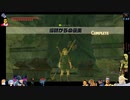 ⌘プレイアーカイブ⌘ ハイラルソード その435