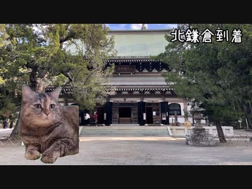 安寧を求め鎌倉へ日帰り旅行したお話