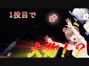冬のナイトサーフ、一投目でデカいのが掛かるとめっちゃ心臓に悪い。【ルアーフィッシング】さとうささらとNo.7の【サーフアングラーささらちゃん】シリーズ＃2