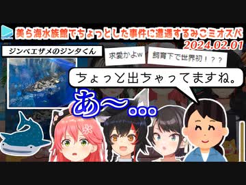 美ら海水族館でジンベエザメの学会報告レベルの激レア行動を目撃してしまうみこミオスバ