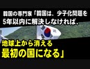 韓国の専門家「韓国は、少子化問題を5年以内に解決しなければ、地球上から消える最初の国になる」