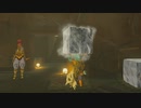 ゼルダの伝説　ブレス オブ ザ ワイルド　実況プレイPart176