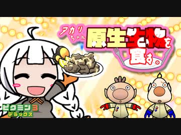 アカリちゃん、原生生物を食す。4品目【ピクミン3デラックス】