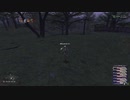 カッパのFF11生活S029　過去ロンフォールで草狩り