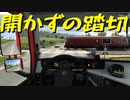 【Euro Truck Simulator 2】ペーパー歴10年が Ver.1.48 アプデ前にドイツ観光（#179）【実況プレイ】