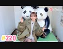 【高画質】井澤詩織のしーちゃんねる 第220回