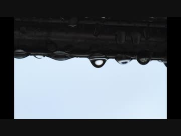 【耳鼻科医 耳鳴用環境音⑧】雨【作業用・睡眠用・勉強用BGM】