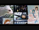 突発あわしまマリンパーク。