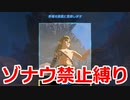 ゾナウ禁止縛りpart15【ティアキン/制限プレイ/ゼルダの伝説ティアーズオブザキングダム】