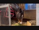 フェリオくん！遠征お疲れ様
