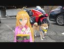 【NM4-02】新弦巻マキと名所探訪 第209話「2023年年越しツーリング編 その③」