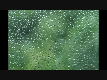 【耳鼻科医 耳鳴用環境音⑥】外の小雨【作業用・睡眠用・勉強用BGM】