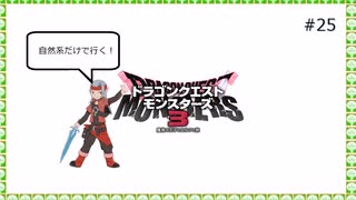 【DQM3】自然系だけで行く！DQM3 ＃25