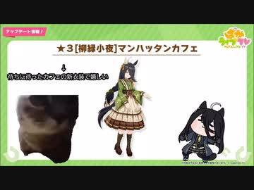 【ウマ娘たぬき】猫ミーム