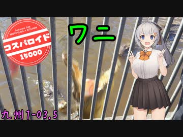 お写んぽ！九州1-03.5 コスパロイド15000 鰐【別府ワニ地獄】