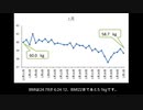 【第２章】BMI22を目指して13（2024年1月）【ダイエット】