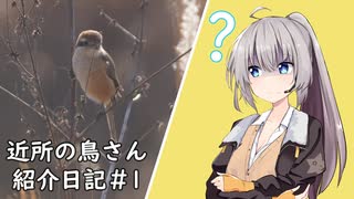 近所の鳥さん紹介日記＃1