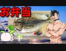 【VOICEVOX 青山龍星】  コスパ最高!!  アジの干物を使った「弁当」を作るぜ!!　