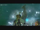 【ブレワイ】依頼を受けて、祠に動物を埋めようとしてみた【ドリカラ】【ボイスピ実況,ゼルダの伝説,ブレスオブザワイルド,BotW】