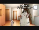 ギックリ腰になった話