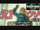 【ゼルダの伝説Totk】このハイラルで一番自由な奴が勇者だ！【実況】Part４６