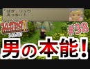 【初見実況】　名作RPG！ブレスオブファイア４のクリアを目指します！　Part38