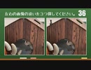 猫×脳トレ「 猫の間違い探し」vol.2