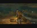 【Switch】リンクがゾナウとゼルダ探し旅【プレイ動画】part142