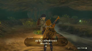 【Switch】リンクがゾナウとゼルダ探し旅【プレイ動画】part142