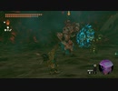 【Switch】リンクがゾナウとゼルダ探し旅【プレイ動画】part144