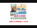 保護ねこの家譲渡会 in 天王寺