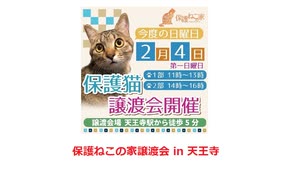 保護ねこの家譲渡会 in 天王寺