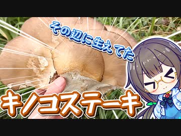 河川敷に生えてた大キノコをステーキにしました！