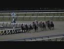 2024年1月27日_京都競馬_5R_メイクデビュー_ダート1400