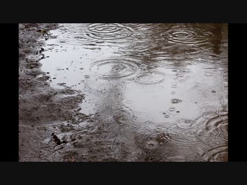 【耳鼻科医 耳鳴用環境音⑨】最後の雨【作業用・睡眠用・勉強用BGM】
