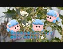 今年も綺麗なお花が咲きました。節分には欠かせないのと魔除けにも効果ありの植物
