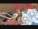 2024年2月3日　農作業日誌P894　梯子の配達の後はいつものお仕事